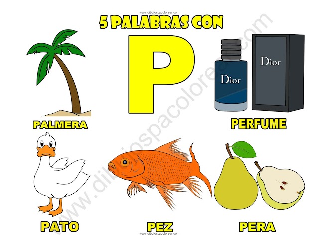 Cinco Palabras con la letra P dibujo a color y para colorear